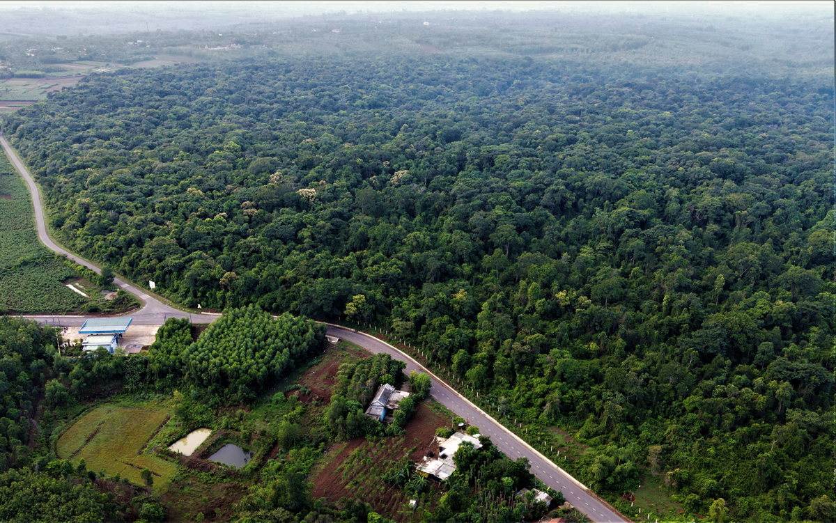 Vườn quốc gia Phú Quốc với quy mô lên đến 31.422 hecta